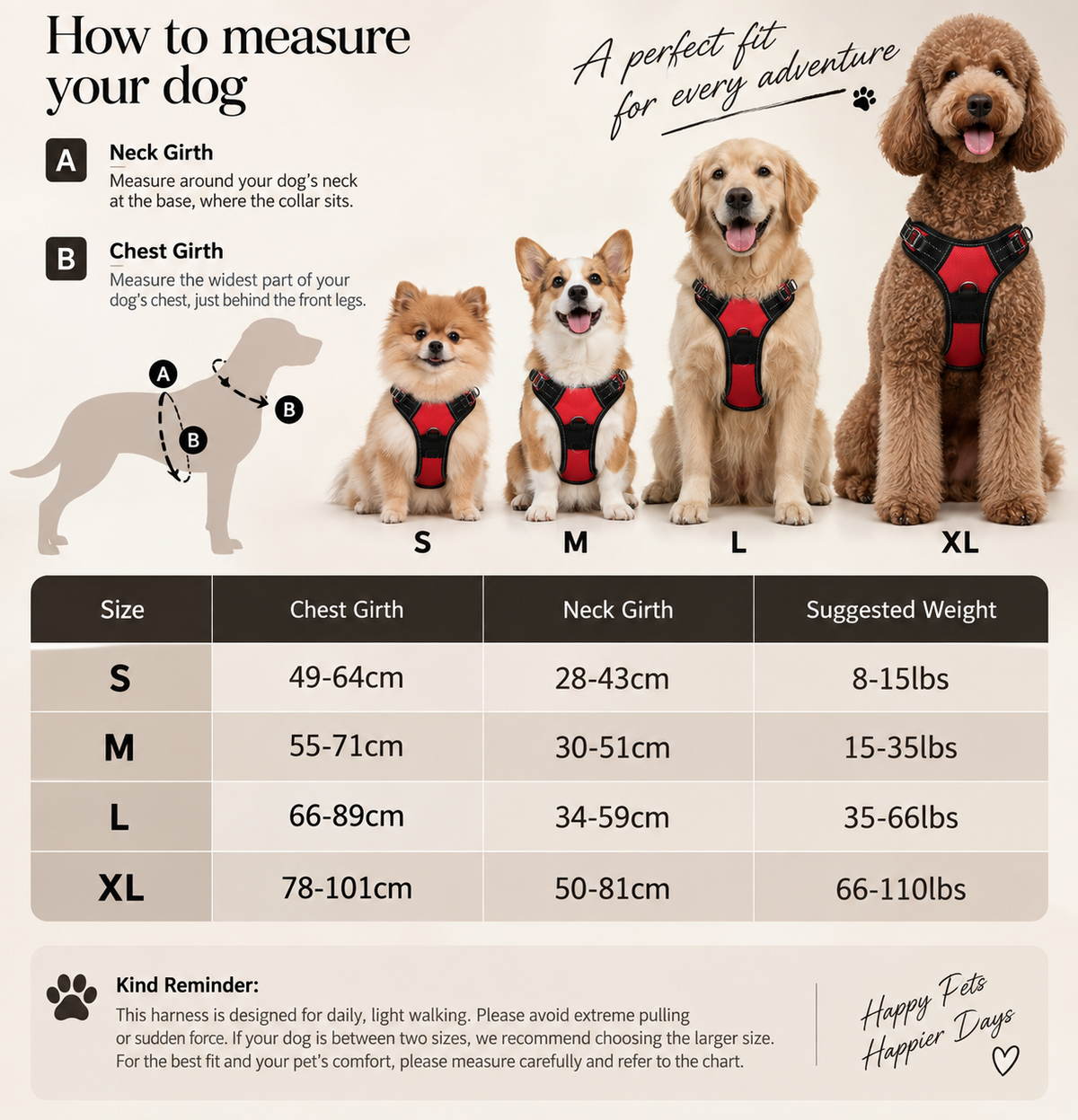 Reflective Harness & Leash Set