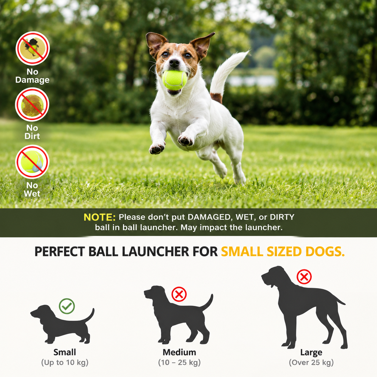Automatic Ball Launcher